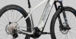 Radon Jealous Hybrid 10.0 – Bild 6