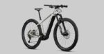 Radon Jealous Hybrid 10.0 – Bild 9