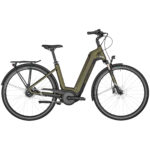 Bergamont E-Horizon N5e FH 2022