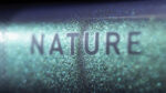 Cube Nature EXC Lady verde´n´black – Bild 3